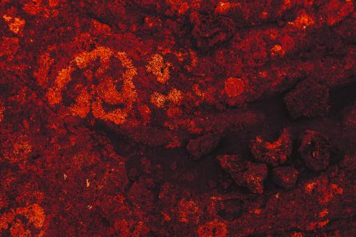 Free Stock Photo of Red Lava Stone Background
