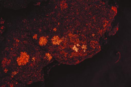 Free Stock Photo of Burning Lava Stone Background