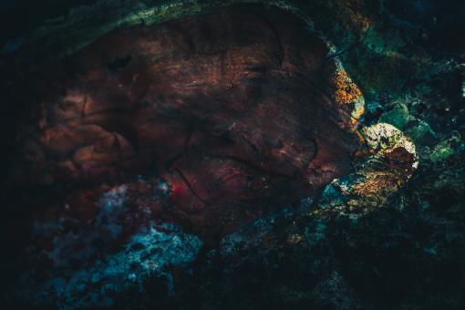 Free Stock Photo of Colorful Alien Rock Surface