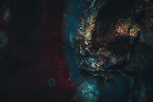 Free Stock Photo of Colorful Alien Rock Background