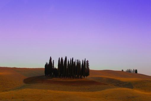 Free Stock Photo of Typical Cypress Trees - Val d Orcia - Tuscany - Italy