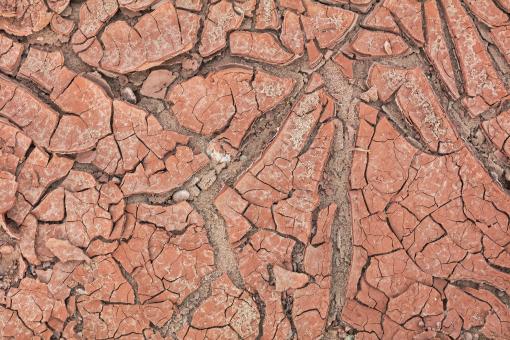 Free Stock Photo of Cracked Earth