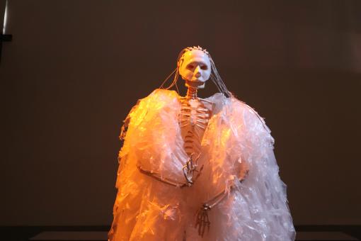 Free Stock Photo of Sculpture of skeleton dressed in white