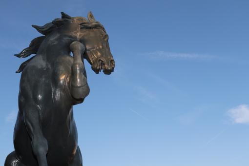 Free Stock Photo of Bronze Horse Sculpture