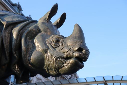 Free Stock Photo of Black bronze rhino close-up
