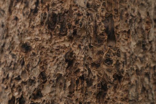 Free Stock Photo of Rough Wood Texture