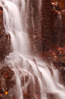 Free Stock Photo of Charred Autumn Falls