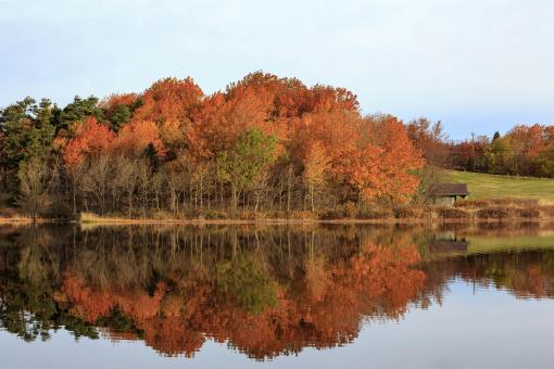 Free Stock Photo of Autumn Reflection