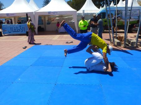 Free Stock Photo of Martial arts review in the street