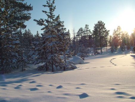 Free Stock Photo of Winter - Sun in the Hills