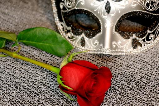 Free Stock Photo of Victorian Mask and Red Rose