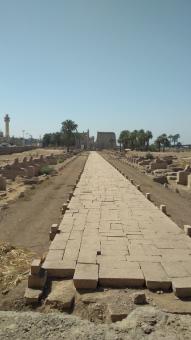Free Stock Photo of Ancient Stone Road in Luxor