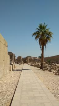 Free Stock Photo of Stone Road in Luxor City, Egypt