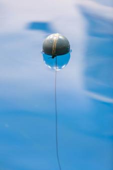 Free Stock Photo of Float