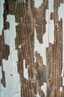 Free Stock Photo of Abstract Painted Wood Texture