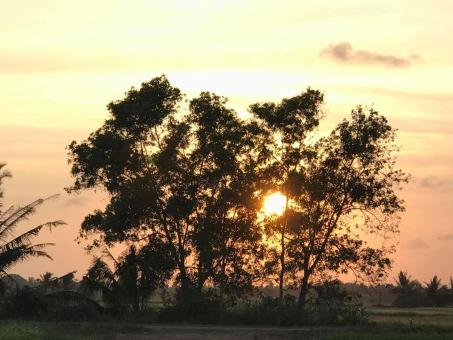 Free Stock Photo of Vietnam Countryside