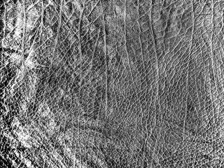 Free Stock Photo of Dark Leather Texture - Monochrome