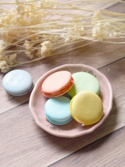 Free Stock Photo of Macaron color pastel pink, purple, yellow, green