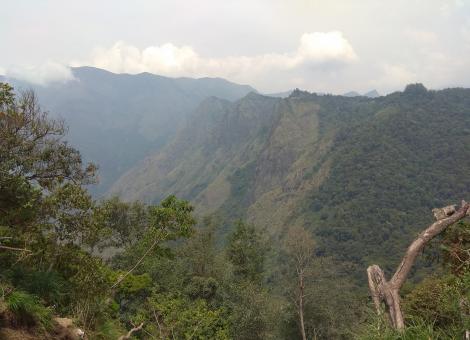 Free Stock Photo of Top Hill Station at Munnar, India