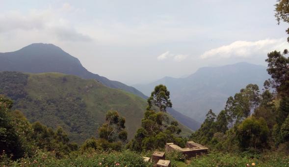 Free Stock Photo of Top Hill Station at Munnar, Kerala India