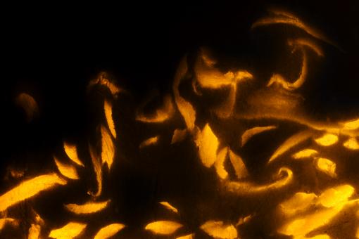 Free Stock Photo of Glowing Gold Flakes