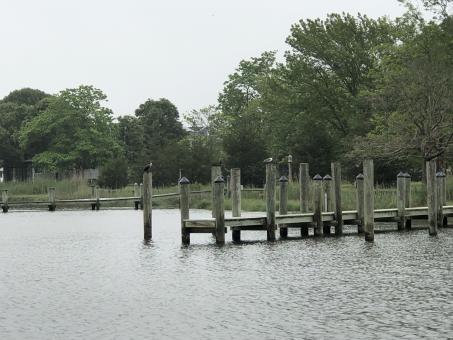 Free Stock Photo of Wooden Docks