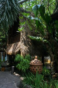 Free Stock Photo of Traditional home garden in Asia