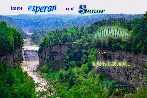 Free Stock Photo of El Senor Renovaran Sus Fuerzas