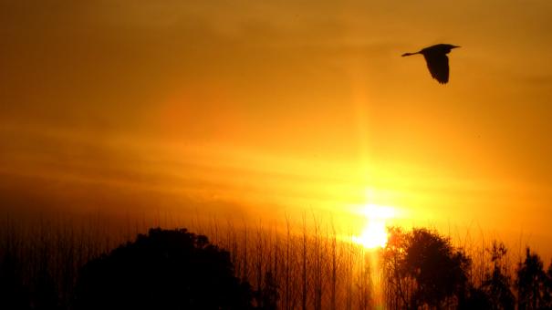 Free Stock Photo of View Of Sunset During Mist