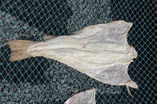 Free Stock Photo of Salted Cod