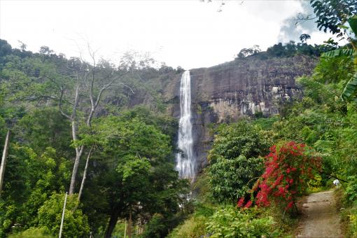 Free Stock Photo of Diyaluma Waterfalls