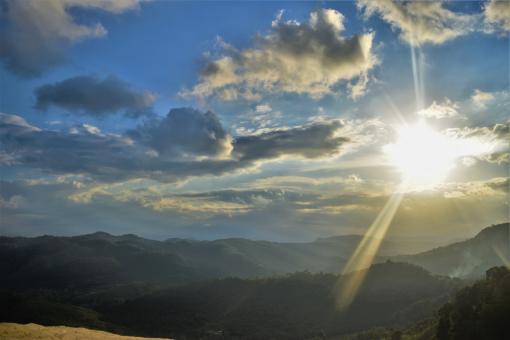 Free Stock Photo of Sunny day in the Tropics