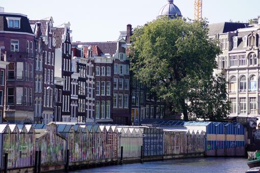 Free Stock Photo of Flower Market in Amsterdam