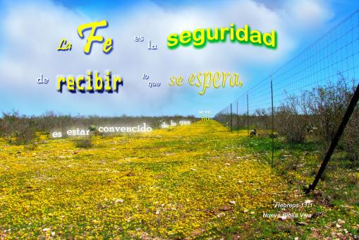 Free Stock Photo of La Fe es la Seguridad