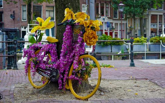 Free Stock Photo of Bike Decorated in Flowers