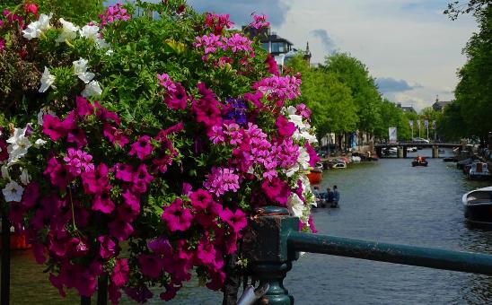 Free Stock Photo of Bridge Floral Decoration