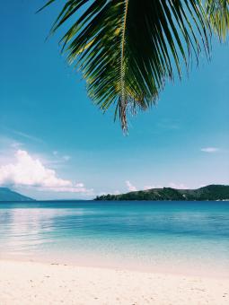 Free Stock Photo of Beautiful White Sand Beach and Crystal Clear Water