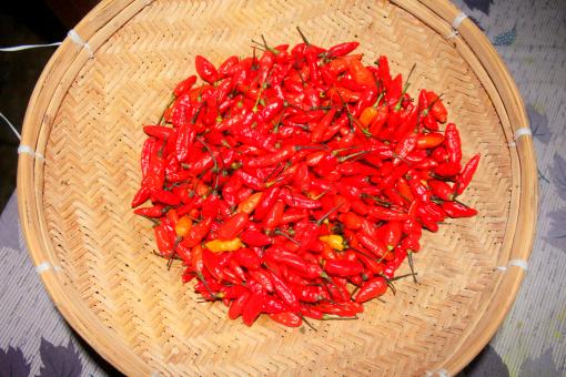 Free Stock Photo of Red chili peppers on woven mat