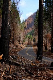 Free Stock Photo of Road to Blue River