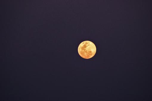 Free Stock Photo of Full Moon in Dark Sky