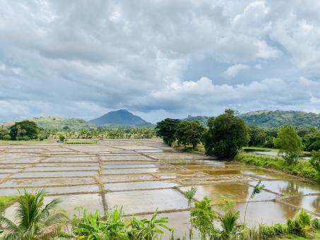 Free Stock Photo of Paddy fields near a Lake with a Beautiful View