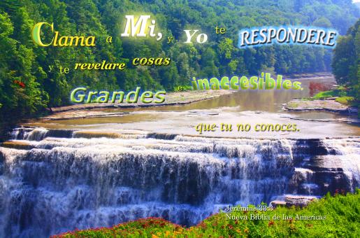 Free Stock Photo of Clama a Dios y te Respondere
