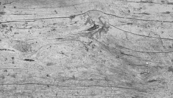 Free Stock Photo of Wood surface background