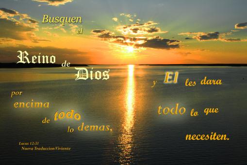Free Stock Photo of Busquen el Reino de Dios