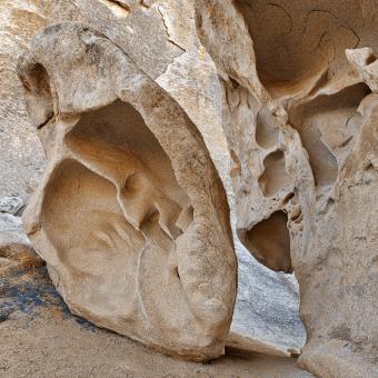 Free Stock Photo of Elephant Circus Rock
