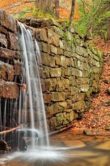Free Stock Photo of Autumn Dam Waterfall - Cook Forest