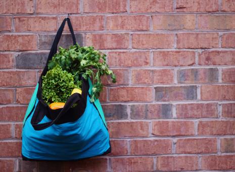 Free Stock Photo of Sustainable living using reusable grocery bags
