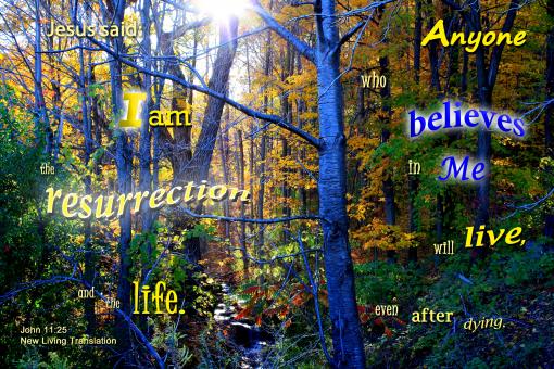 Free Stock Photo of Resurrection and Life