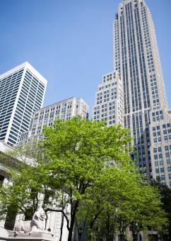 Free Stock Photo of City Building Photo