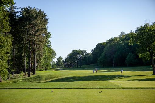 Free Stock Photo of Golf Course Photo